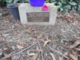 image of grave number 619065